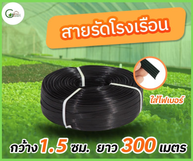 สายรัดโรงเรือน